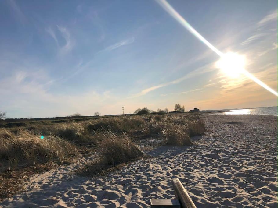 Neue Ferienwohnung Kuestennaehe Mit Terrasse 3Km Zum Strand Osdorf Extérieur photo
